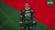 Del Aev GIF by Augsburger Panther Eishockey GmbH