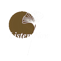 Ginkgo Sticker by Stereo Productions