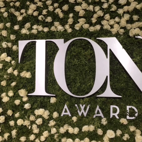 GIF by Tony Awards