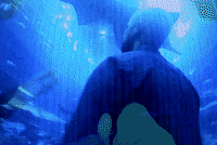 alessandromarras- dubai alessandro viaggi coollife GIF