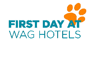 First Day Paw Sticker by Wag Hotels