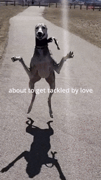 Early 2000S Wow GIF by Darwin