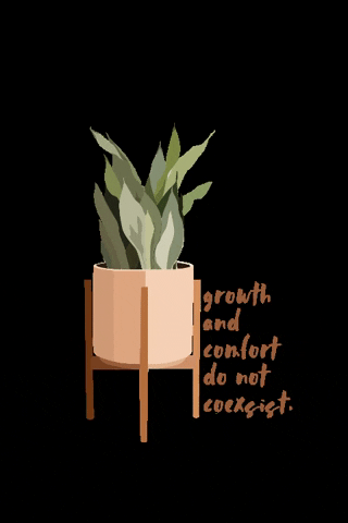skyecamryndesigns giphygifmaker vintage aesthetic positive GIF