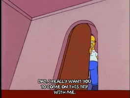season 5 homer GIF