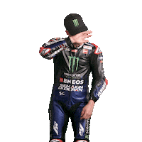 Fabio Quartararo Wow Sticker by MotoGP