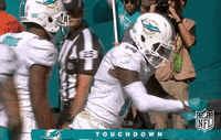 Miami Dolphins Football GIF by NFL