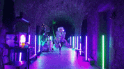 Sassy Christmas GIF by National Theatre of Scotland