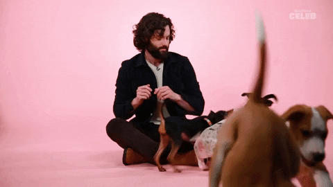 Penn Badgley Puppy Interview GIF by BuzzFeed