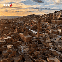 Travel History GIF by TRT