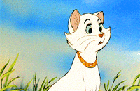 grumpy GIF