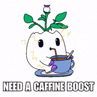 Energize Good Morning GIF by Magic Eden