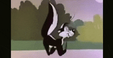 Pepe Le Pew GIF by memecandy