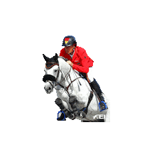 Jumping Hands Up Sticker by FEI Global