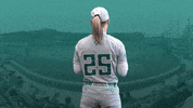 uncwsoftball uncw collegesoftball uncwsoftball seahawksoftball GIF
