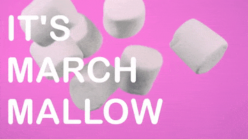 March 1St GIF by Sealed With A GIF