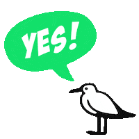 Yes Sticker by newhollandisland