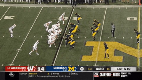 aaronmcmann giphyupload wisconsin michigan football jim harbaugh GIF