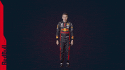 Red Bull F1 GIF by Red Bull Racing
