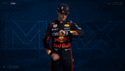 Ver Red Bull GIF by Oracle Red Bull Racing