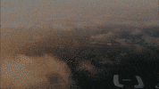 crossfit games stadium GIF by CrossFit Inc.