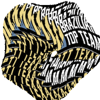 Jiu Jitsu Sticker by Brazilian Top Team