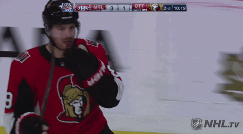 happy ice hockey GIF by NHL