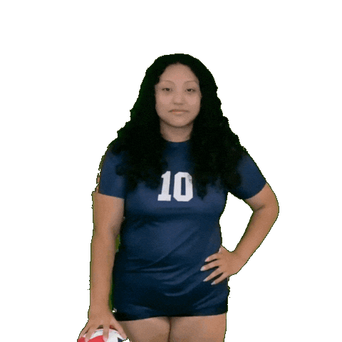 Womens Volleyball Sticker by Clarke University