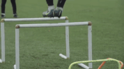 training GIF by Rangers Football Club