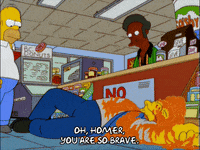 homer simpson episode 22 GIF