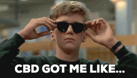 sarahcasden giphygifmaker giphyattribution GIF