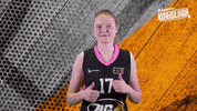 Sport Basketball GIF by Basket_fi