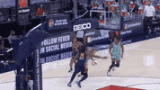 Womens Basketball Wnba GIF by Basketfem