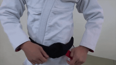 ritchieyip giphygifmaker bjj bjj belts GIF