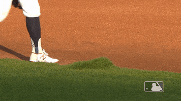 Major League Baseball Sport GIF by MLB