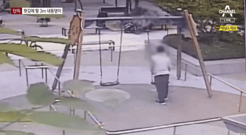 qwerpoiu22ppop giphyupload GIF