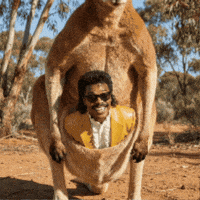 Down Under Wtf GIF by Jukebox Saints