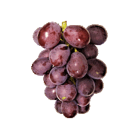 Grapes Budou Sticker by suikanosato