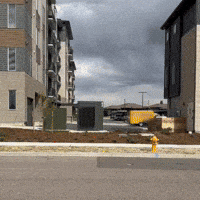 Hot Dogs Win GIF by Oscar Mayer