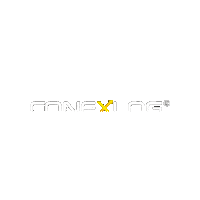 conexlogoficial cargas conex conexlog cargas expressas Sticker