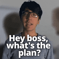 Whats Next Boss GIF