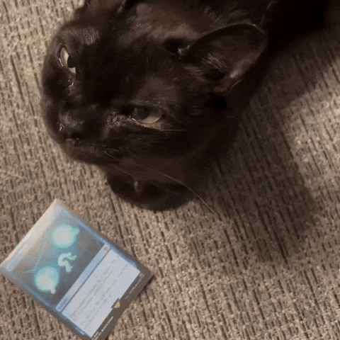 Trading Card Game Cat GIF by Respective