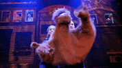 Avenue Q GIF by Selladoor