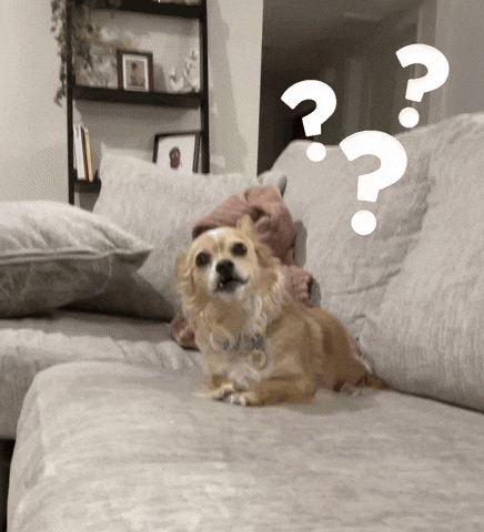 Question Mark Wtf GIF