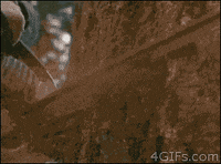 chuck norris no GIF