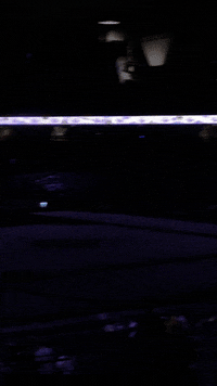 Parting San Diego GIF