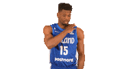 National Team Sport Sticker by Basket_fi