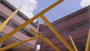 French Fries College GIF by University of Florida