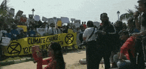 news protest climate change climate crisis greta thunberg GIF