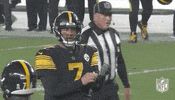Pittsburgh Steelers Ok GIF by NFL