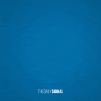 Breaking News GIF by The Daily Signal